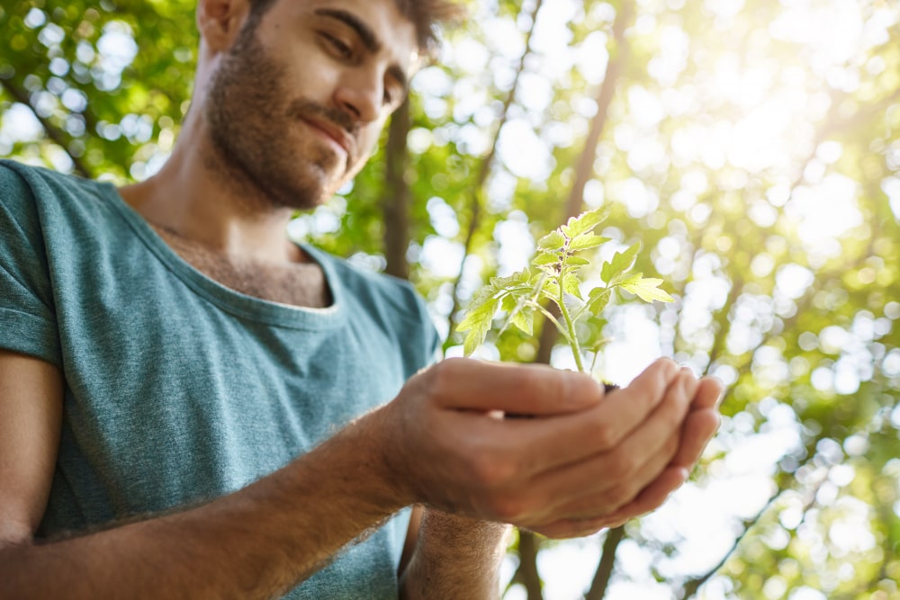 L'impatto dell'uomo sull'ambiente